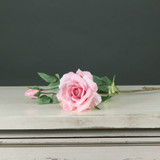Tintagel Spray Rose Light Pink Tintagel Spray Rose Light Pink