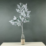 Snowy Pine Branch 
