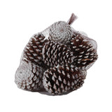 White Tipped Maritima Cones (x12) White Tipped Maritima Cones (x12)