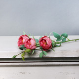 Tintagel Vintage Hedgerow Rose Spray Dusky Pink Tintagel Vintage Hedgerow Rose Spray Dusky Pink
