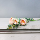 Tintagel Vintage Hedgerow Rose Spray Peach Tintagel Vintage Hedgerow Rose Spray Peach