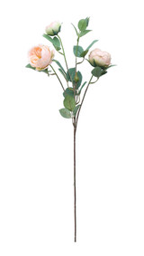 Tintagel Vintage English Rose Spray Peach Tintagel Vintage English Rose Spray Peach