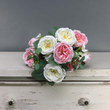Tintagel Vintage English Rose Bush Light Pink Tintagel Vintage English Rose Bush Light Pink