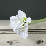 Amaryllis Spray White (60cm) Amaryllis Spray White (60cm)