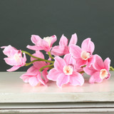 Tintagel Cymbidium Orchid Pink Tintagel Cymbidium Orchid Pink