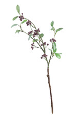 Lingonberry Spray with Burgundy Cluster Berries (63cm) Lingonberry Spray with Burgundy Cluster Berries (63cm)
