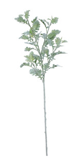 Extra Large Display Dusty Miller (108cm) Extra Large Display Dusty Miller (108cm)