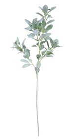 Extra Large Display Lambs Ear (112cm) Extra Large Display Lambs Ear (112cm)