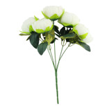 Ivory Arundel Peony Bush Ivory Arundel Peony Bush