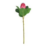 Hot Pink Protea Beauty (51cm) Hot Pink Protea Beauty (51cm)