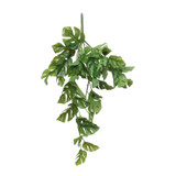 Split Philo Hanging Bush (24inch) Split Philo Hanging Bush (24inch)