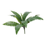 Bird Nest Fern Bush (25inch) Bird Nest Fern Bush (25inch)