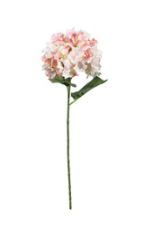 Pink Fantasia Hydrangea (83cm) Pink Fantasia Hydrangea (83cm)