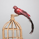 Red Paradise Bird with clip Red Paradise Bird with clip