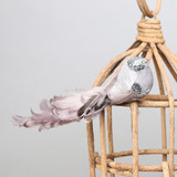 Silver Showfeather Bird with clip Silver Showfeather Bird with clip