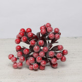 Frosted Red Berry Bunch with Leaves Frosted Red Berry Bunch with Leaves