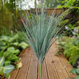 Multi Grass Bush Multi Grass Bush