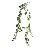 Ivy Garland (180cm) Ivy Garland (180cm)