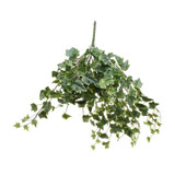 Frosted Vari Ivy Bush (60cm) Frosted Vari Ivy Bush (60cm)