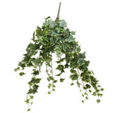 Frosted Vari Ivy Bush Vine (80cm) Frosted Vari Ivy Bush Vine (80cm)