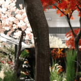 Artificial Green Japanese Maple Tree  (2.8m)