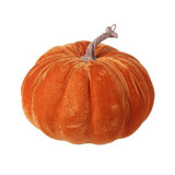 Velvet Pumpkin Velvet Pumpkin