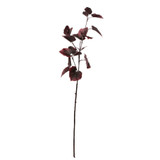Glamis Tilia Leaves Spray Burgundy (81cm) Glamis Tilia Leaves Spray Burgundy (81cm)