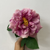 Balmoral Wild Rose Purple (65cm) Balmoral Wild Rose Purple (65cm)
