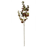 Glamis Large Eucalyptus Spray Brown (108cm) Glamis Large Eucalyptus Spray Brown (108cm)