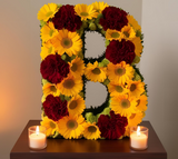 Oasis Letter B Naylorbase Frame - Black Base