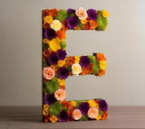 Oasis Letter E Naylorbase Frame - Black Base