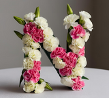 Oasis Letter N Naylorbase Frame - Black Base