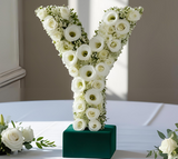 Oasis Letter Y Naylorbase Frame - Black Base