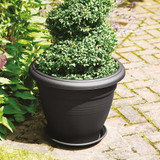 Stewart Black Multi-Purpose Saucer 38cm (15inch) Stewart Black Multi-Purpose Saucer 38cm (15inch)