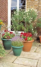 Stewart 40cm Palladian Planter - Terracotta