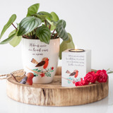 Winter Robin Ceramic Plant Pot Winter Robin Ceramic Plant Pot
