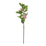 Camellia Spray Pink (58cm) Camellia Spray Pink (58cm)