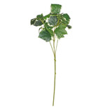 French Variegated Leaves Ivy Spray French Variegated Leaves Ivy Spray