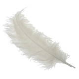 White Ostrich Feathers (5 Pack) White Ostrich Feathers (5 Pack)