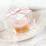 Clear Cupcake Box Clear Cupcake Box