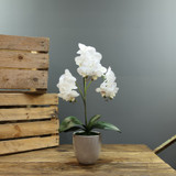 Artificial White Aragon Phalaenopsis in Planter (Medium - 3 Stem) Artificial White Aragon Phalaenopsis in Planter (Medium - 3 Stem)
