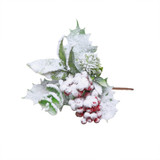 Eucalyptus, holly and Red Berry Snowy pick Eucalyptus, holly and Red Berry Snowy pick