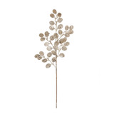 Champagne Glitter Eucalyptus Stem (H61cm) Champagne Glitter Eucalyptus Stem (H61cm)