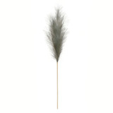 Luxury Pampas Mint Green Luxury Pampas Mint Green