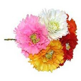 Rose of Sharon Pick (x100)