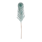Peacock Glitter Feather Stem (H67cm) Peacock Glitter Feather Stem (H67cm)
