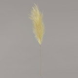 Luxury Pampas Pistachio Green Luxury Pampas Pistachio Green