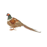 Medium Pheasant (H16cm) Medium Pheasant (H16cm)