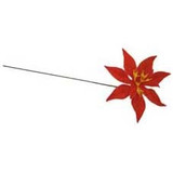 Poinsettia Pick Poinsettia Pick