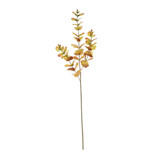 Glamis Eucalyptus Spray Orange (73cm) Glamis Eucalyptus Spray Orange (73cm)
